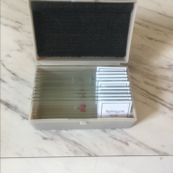 Microscope - Picture 7 of 8